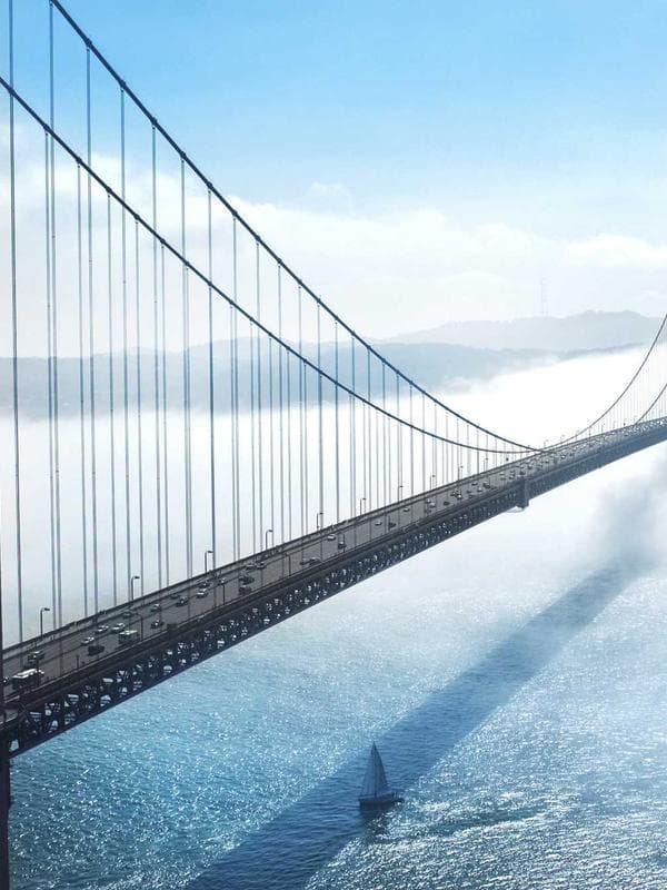 르 미뇽 캐시미어 하네스