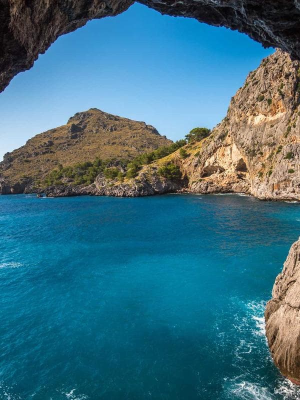 마카롱 플러시 토이