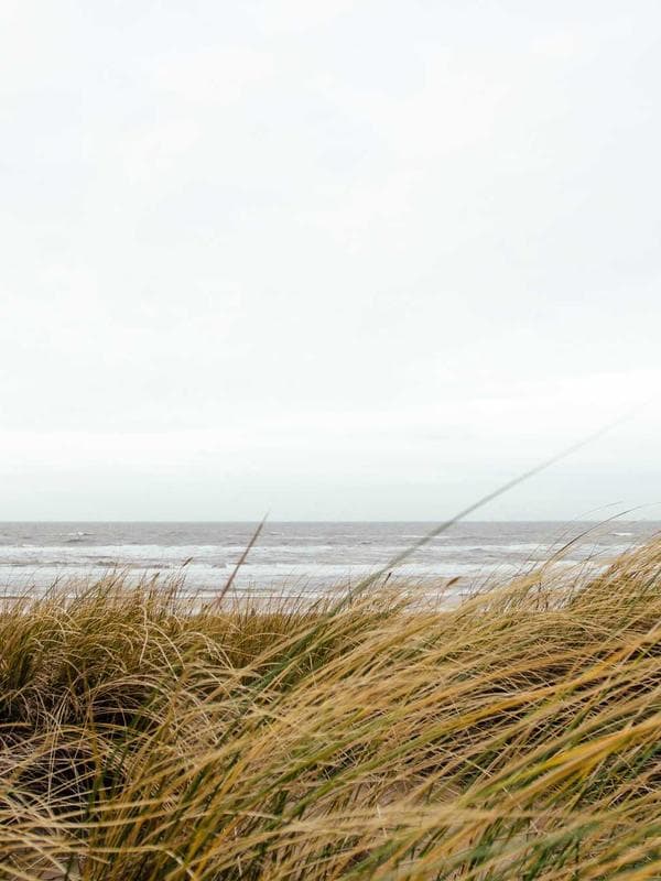 모노그램 캐리어 백