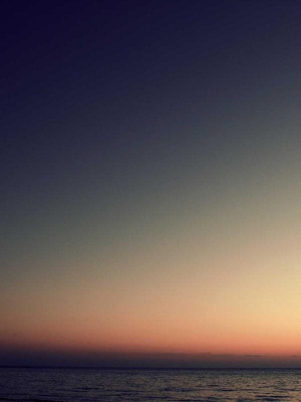 아르간 샴푸 바