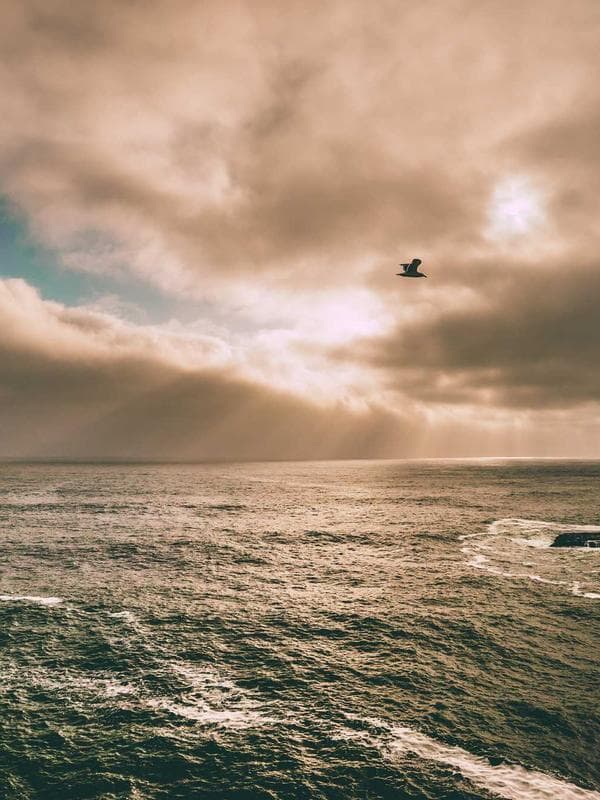 실크 슬리핑 베드